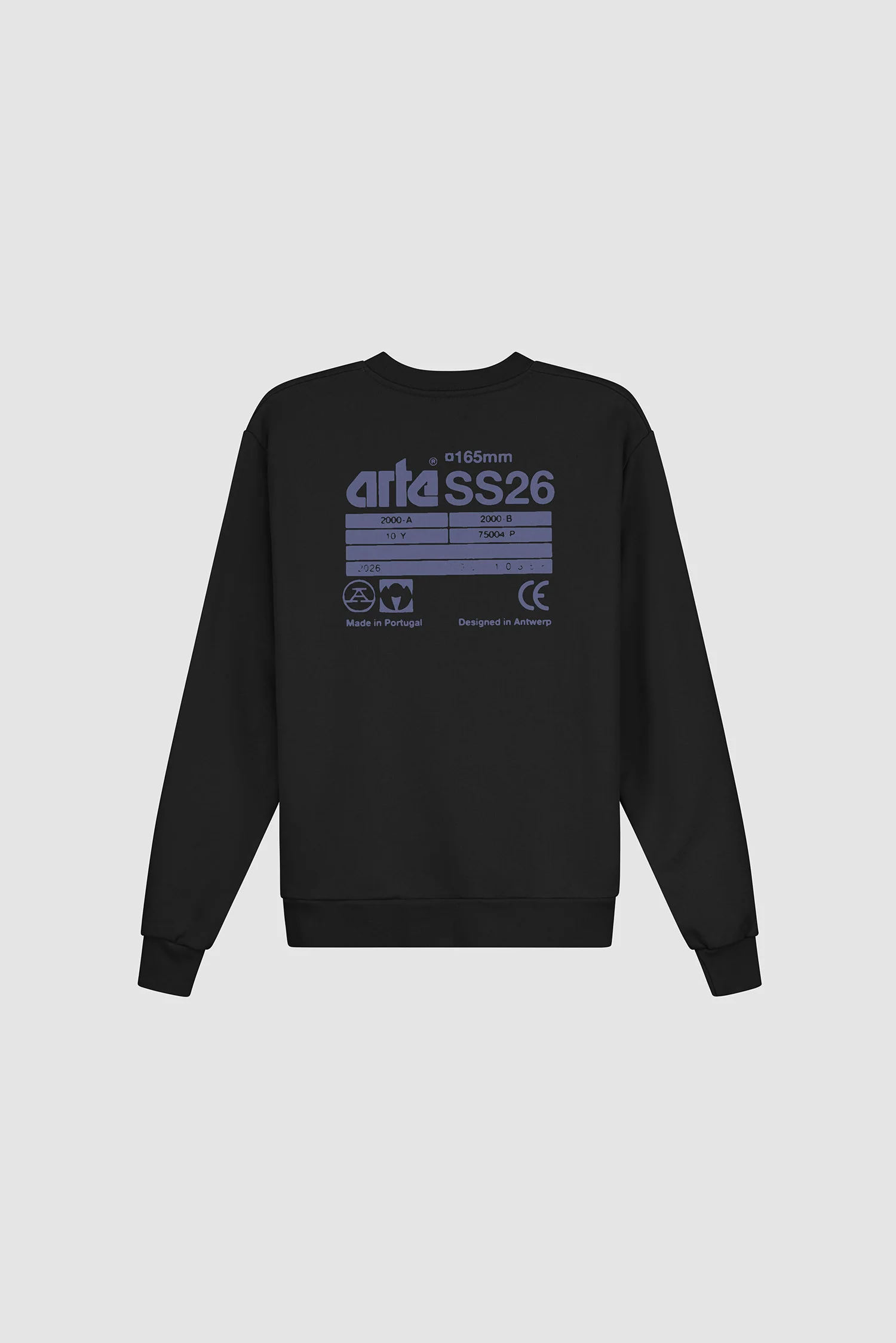 Back SS26 Crewneck - Black - Image 9